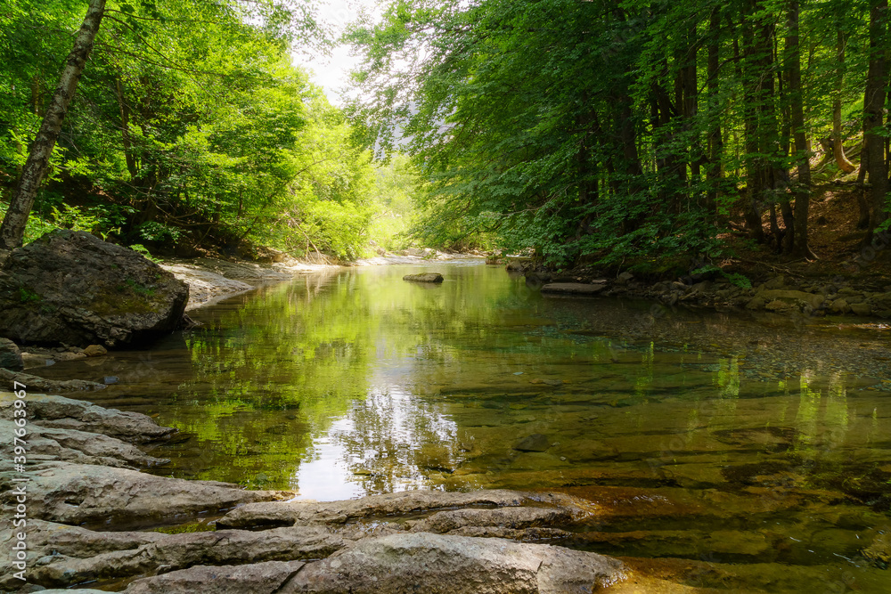 Calm and crystal clear water river in green forest with daylight reflections and rocks in the foreground.
Calm and crystal clear water river in green forest with daylight reflections and rocks in the foreground.
