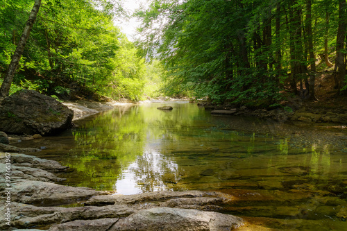 Calm and crystal clear water river in green forest with daylight reflections and rocks in the foreground. 