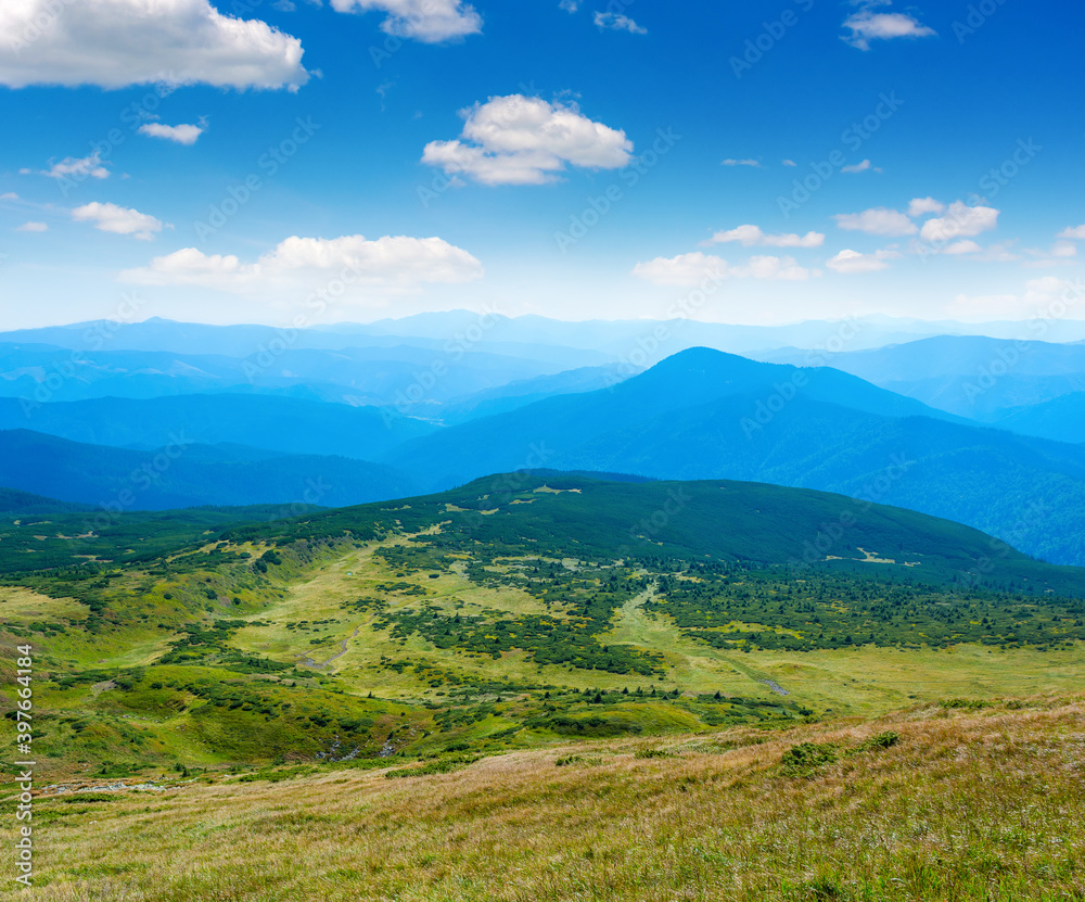 Obraz premium Photo of green meadows and hills at summer day in Carpathian mountains