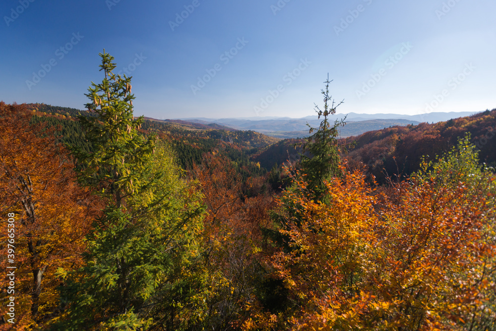 Autumn wood in Carpathian mountains, near to Tustan, Ukraine