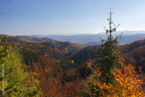 Autumn wood in Carpathian mountains, near to Tustan, Ukraine photo