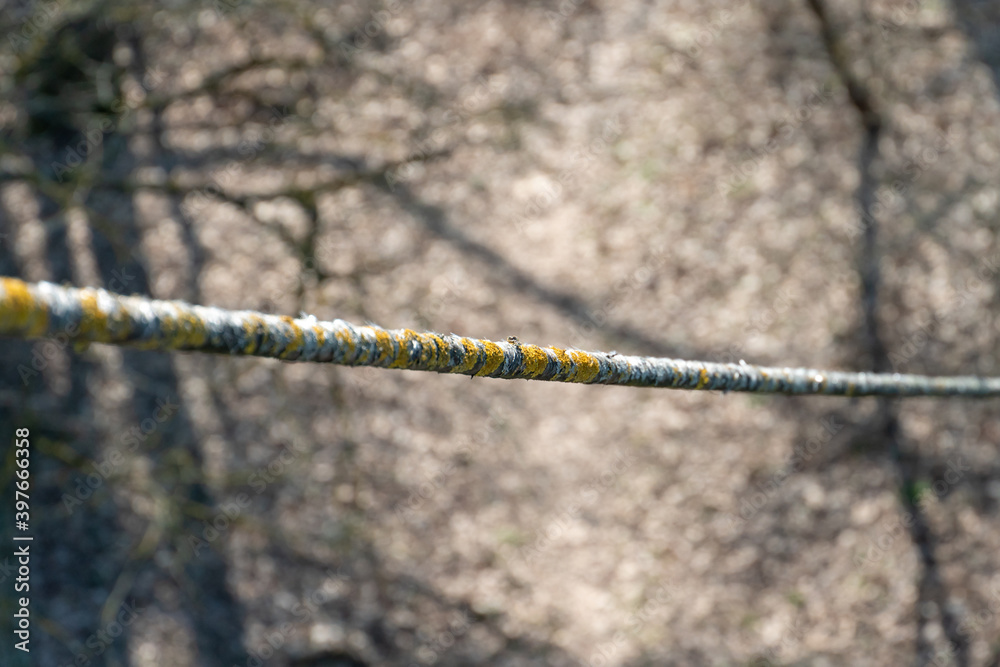 Cables and ropes of the suspension bridge close-up. Repair of the old bridge over the river. Rusty iron cables or wires Cables and ropes of the suspension bridge close-up. Repair of the old bridge over the river. Rusty iron cables or wires