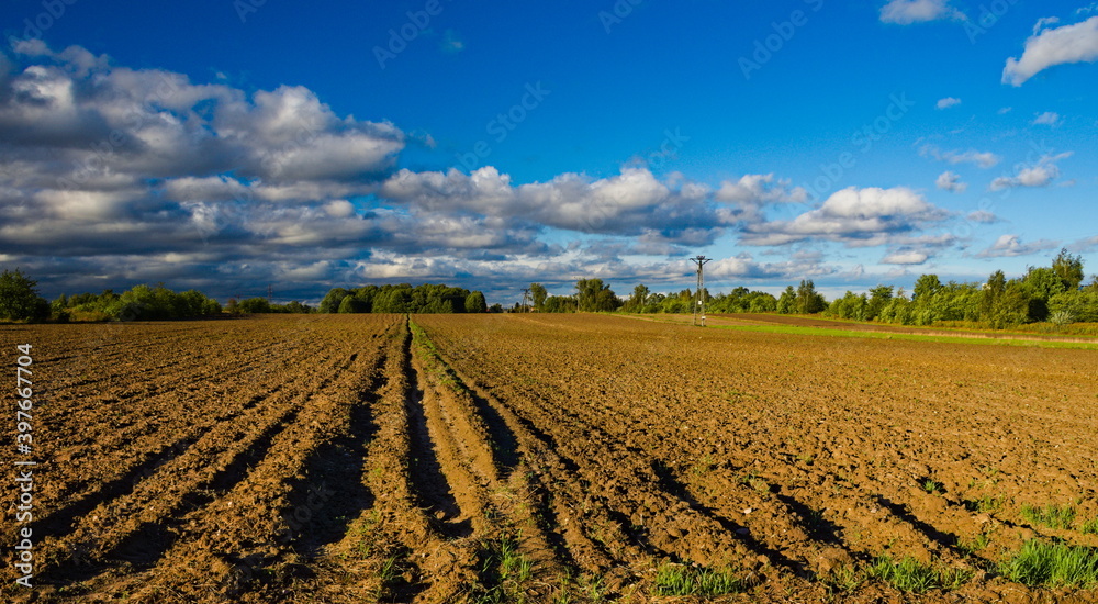 plowed field and blue sky plowed field and blue sky