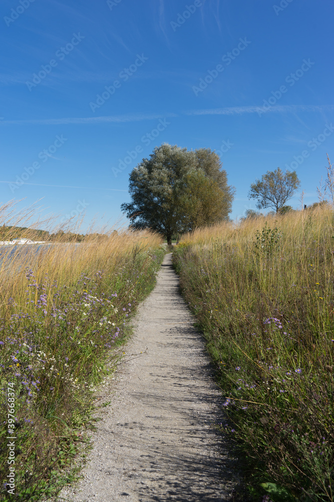 Beautiful scenic landscape in the green Beautiful scenic landscape in the green