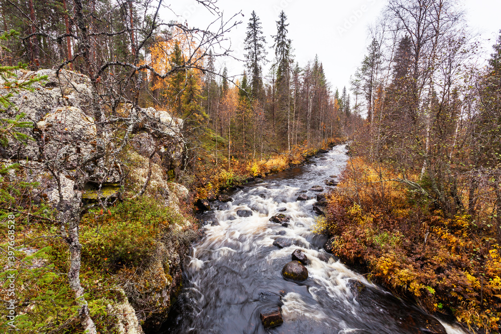 A view to river rapids in autumnal Oulanka National Park.	