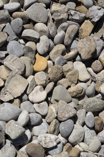 One orange pebble stone in the middle of many white and gray pebbles - background