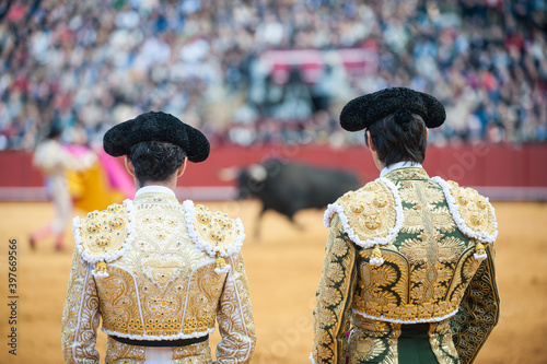 Corridas de toros en la plaza de toros de la Real Maestranza de Sevilla con toreros, banderilleros y toros 