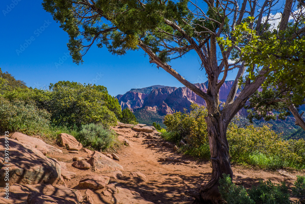 Kolob Canyon in Zion National park, taken from the Timber creek overlook trail, Utah