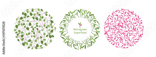 Cartoon eco logo decoration elements collection with mustard sunflower arugula orach herb leaf, green superfood in circle graphic design isolated on white.