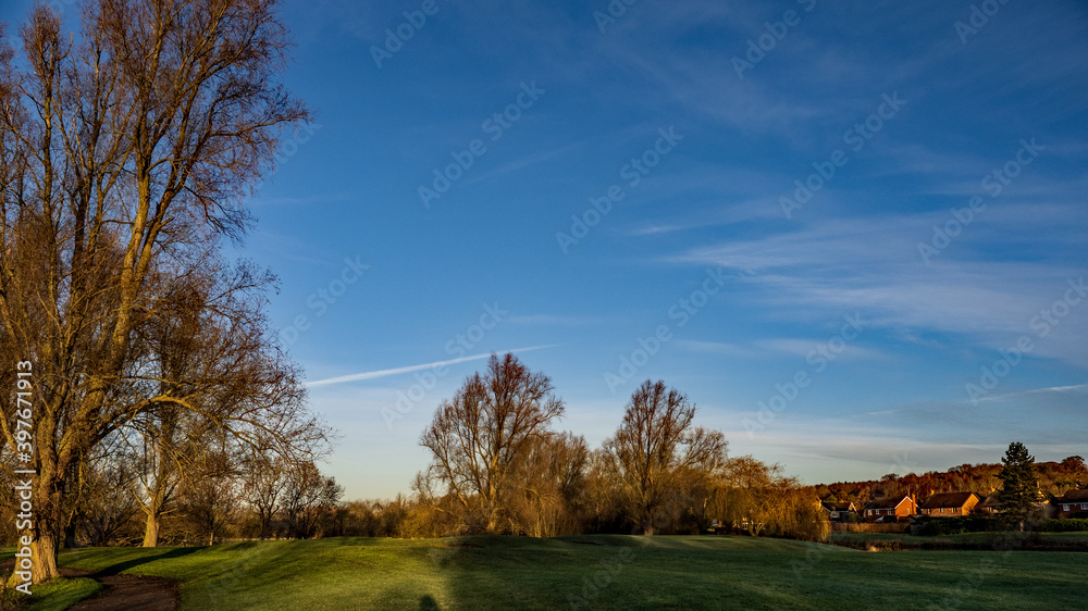 autumn landscape with trees