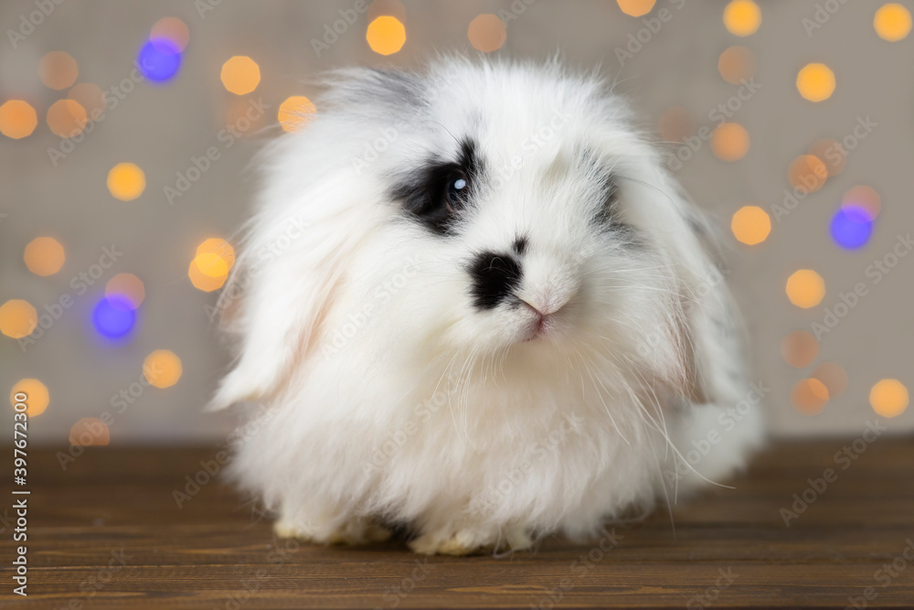 Small spotted rabbit. Small spotted rabbit.