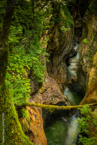 Deep canyon or gorge of Mostnica river, Bohinj, Triglav National Park, Slovenia