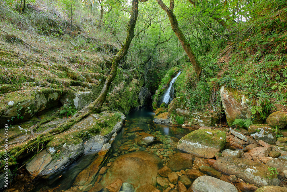 Beautiful and small river forming a small waterfall between trees and rocks. Beautiful and small river forming a small waterfall between trees and rocks.