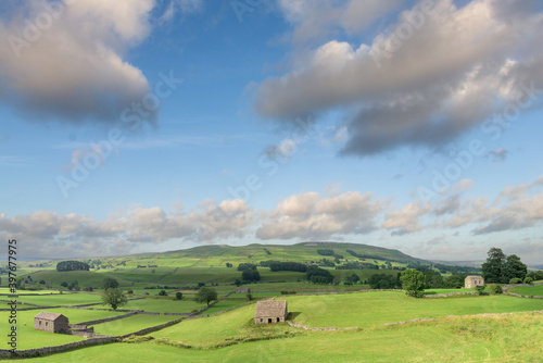 Cotterdale, Yorkshire Dales National Park, York, England - A view of an old stone barn, sheep and the rolling landscape of the Yorkshire Dales.