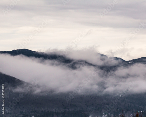 winter autumn fog mountains tree