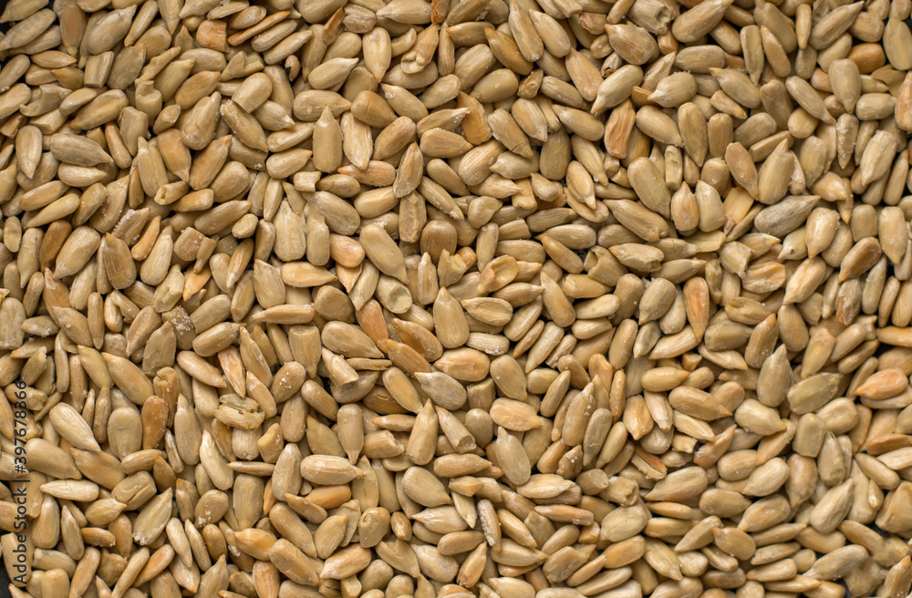 a lots of seeds pattern background macro a lots of seeds pattern background macro
