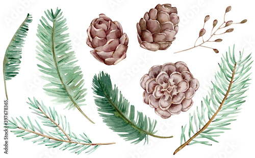 Watercolor clipart of cones and Christmas tree branches for decoration. Hand-drawn winter set isolated on white.