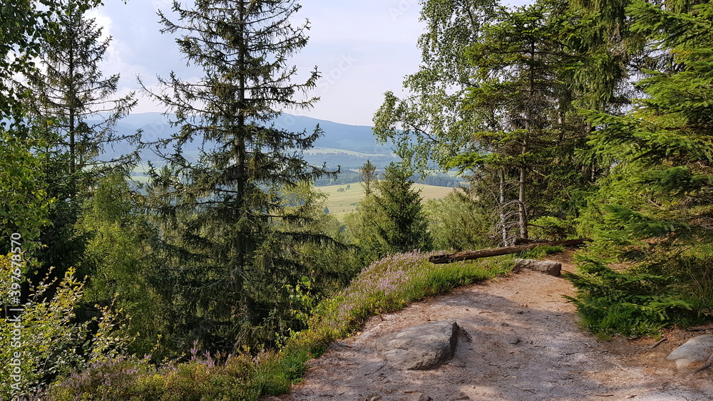 Fototapeta premium The Stołowe Mountains, Góry Stołowe, Stolové hory, Heuscheuergebirge - part of the Sudetes. The Polish part of the range is protected as the Stołowe Mountains National Park