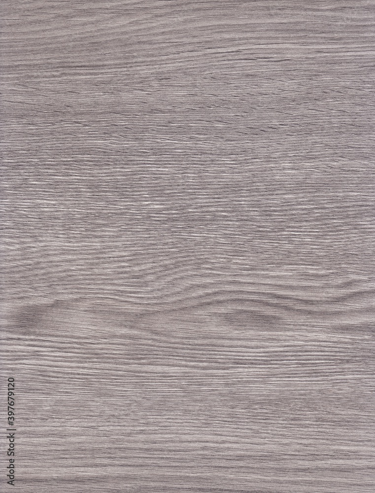 Obraz premium The texture of freshly cut wood. Annual rings and cracks in the old tree. Horizontal wooden background. Texture in high resolution. Color image.