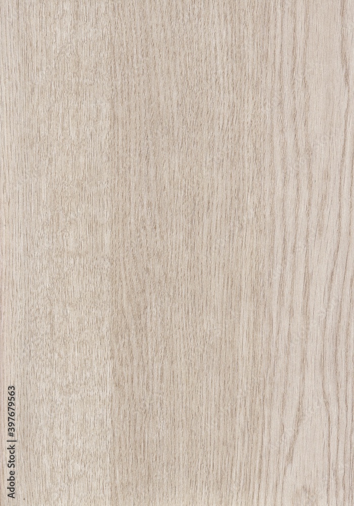 The texture of freshly cut wood. Annual rings and cracks in the old tree. Horizontal wooden background. Texture in high resolution. Color image. The texture of freshly cut wood. Annual rings and cracks in the old tree. Horizontal wooden background. Texture in high resolution. Color image.
