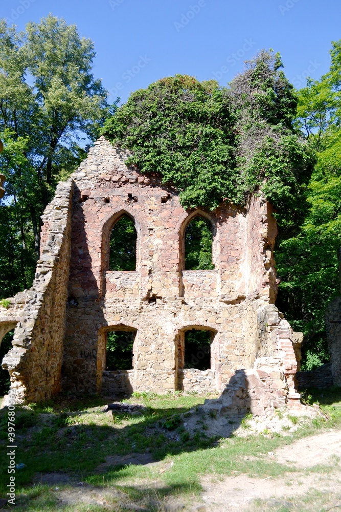 Ruiny starego Zamku Książ,  zbudowany na murach dawnego zamku piastowskiego Bolka I