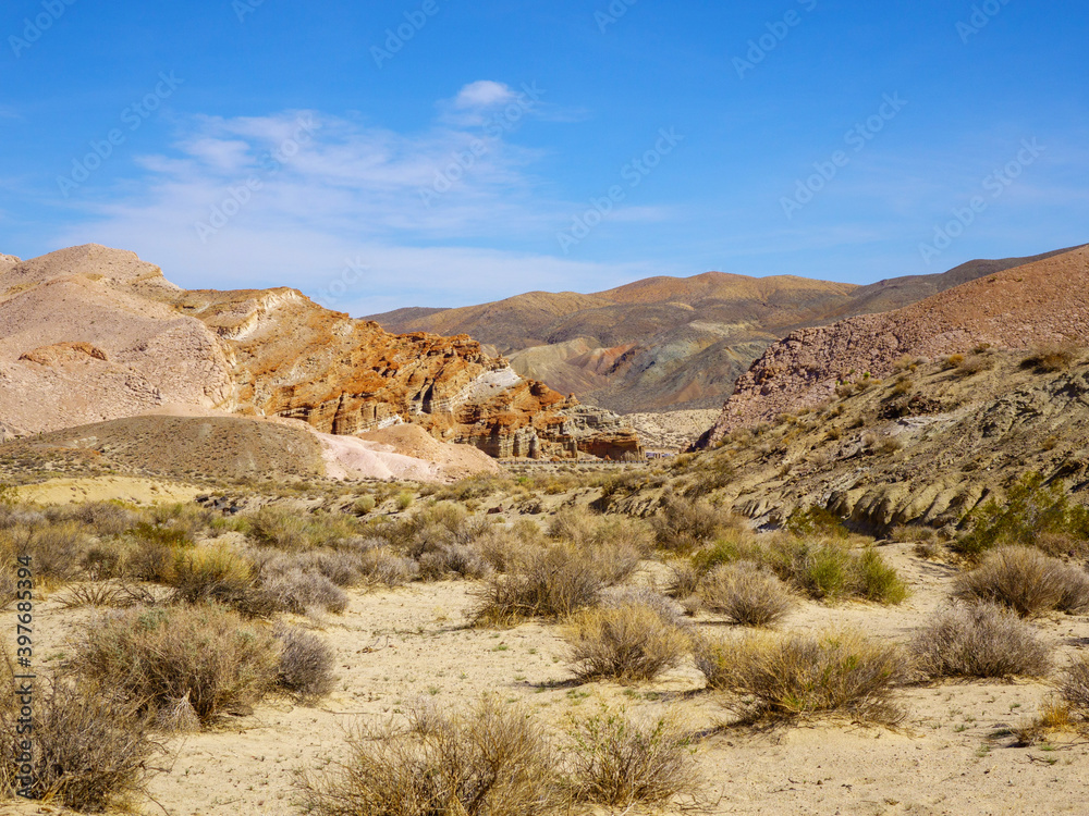 landscape in the desert