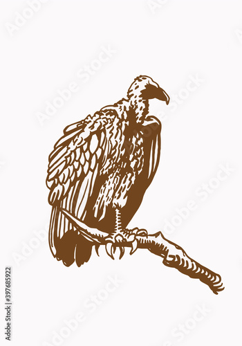 Vector vintage  vulture sitting on the branch of the tree , sepia background, graphical illustration,bird.