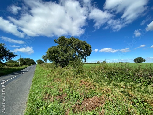 Roadside view of, High Moor Road, with plants, fields, and trees in, North Rigton, Harrogate, UK photo