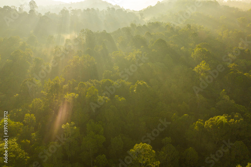 Tropical rain forest aerial drone shot. ecosystem and healthy environment concept