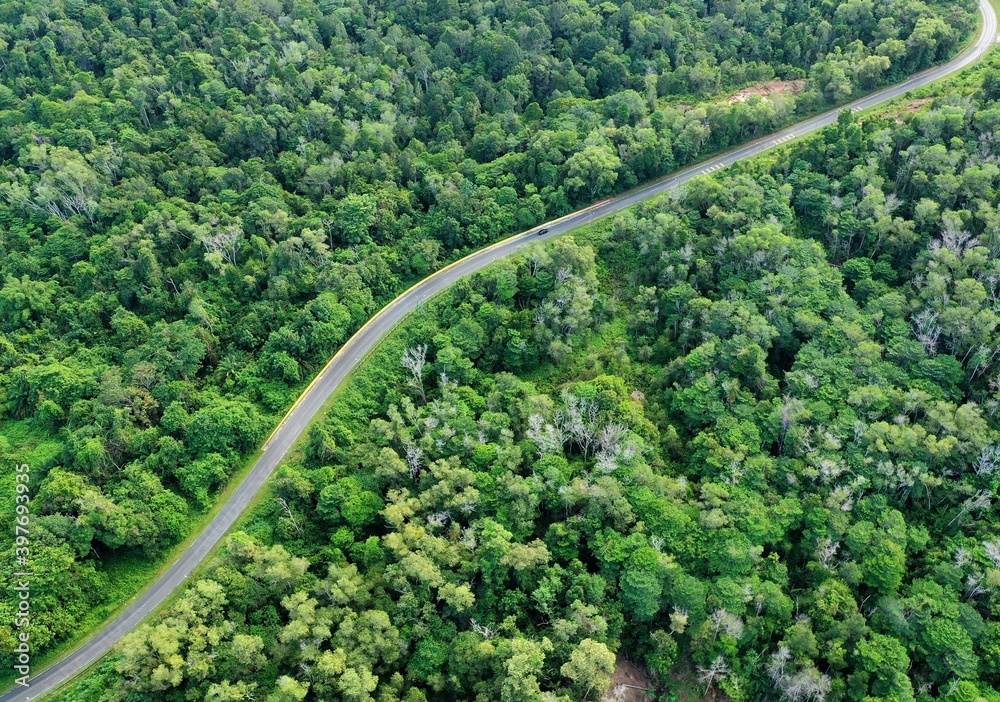 Aerial view of hill at borneo (forests, roads and slopes)