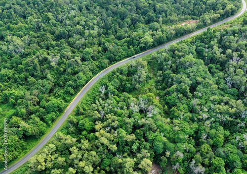 Aerial view of hill at borneo (forests, roads and slopes)