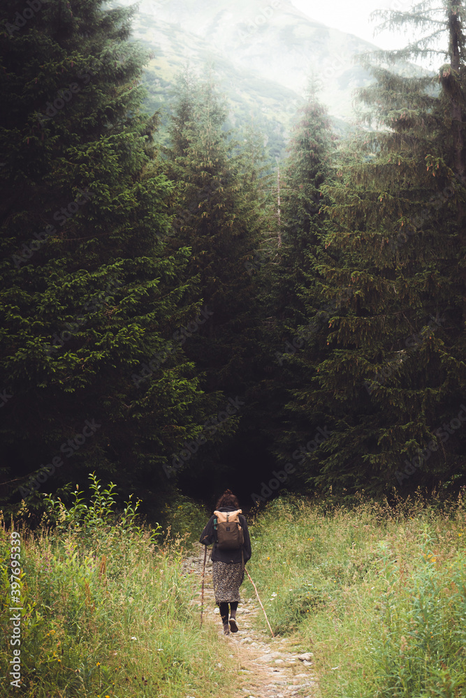 Young lady walking on the path in the mountain. Back view. She enjoy the travel. Tatra mountain, Czech republic