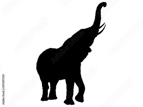 ゾウシルエット_9