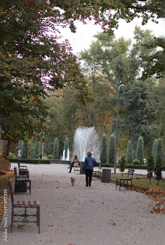 people walking in the park