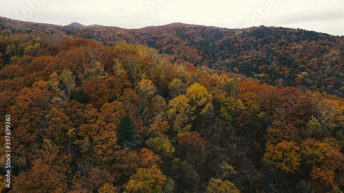 View from above. 4K. The camera flies over a beautiful autumn forest. Endless hills covered with colorful autumn trees. photo
