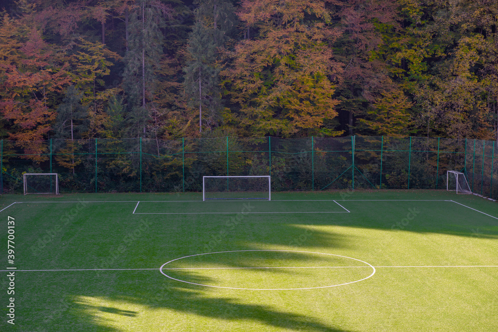 Fototapeta premium football field with