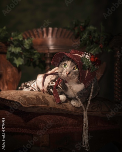 This image is a painterly portrait of a cute grey cat looking innocently upwards while posing in fancy victorian attire and pearls.