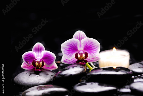 Zen lifestyle ;pile of zen Stones and closeup pink orchid flowers ,candle on black background.