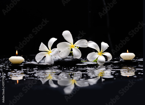 pa still life of with frangipani with candle  and zen black stones  wet background  