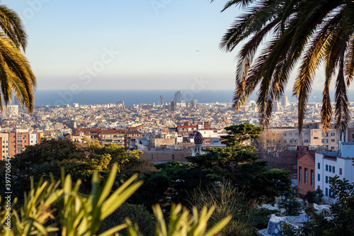  Foto von der Stadt Barcelona mit einem Palme im Vordergrund aus dem Park Güell Parc Guell in Barcelona Spanien 