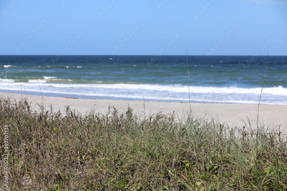 beach and grass