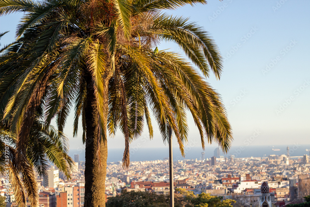 Foto von der Stadt Barcelona mit einem Palme im Vordergrund aus dem