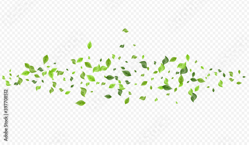 Green Leaf Falling Vector Transparent Background 