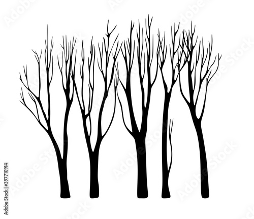 Naked Trees silhouettes vector. Isolated hand drawing set.