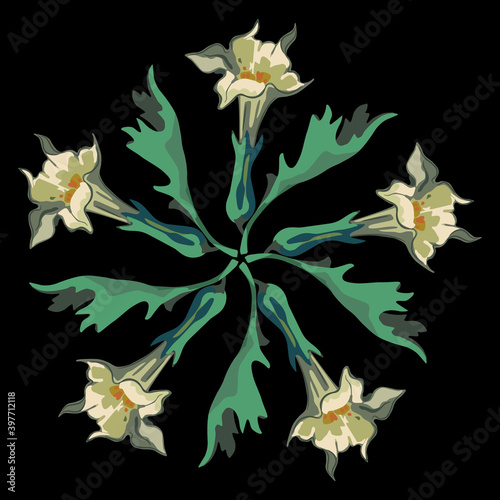 Round floral ornament. Sacred datura blossom. Star with flowers of Jimsonweed. Datura Stramonium.