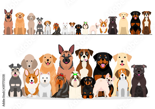 large set of border and group of various breeds of dogs © Studio Ayutaka
