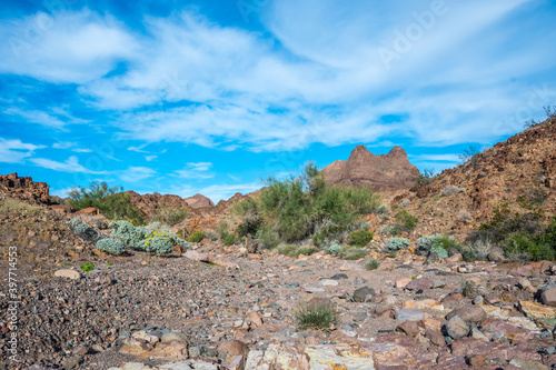 An overlooking view of nature in Yuma, Arizona