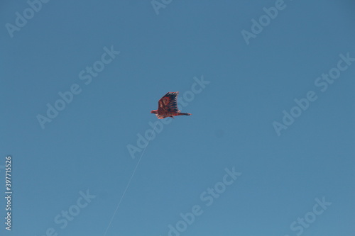 Handmade kite in the sky
