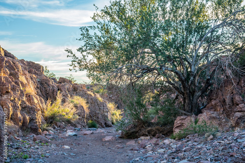 An overlooking view of nature in Yuma, Arizona