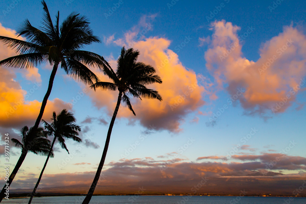 Tropical Palm Tree Silhouette Cloud at Sunset Maui Hawaii 